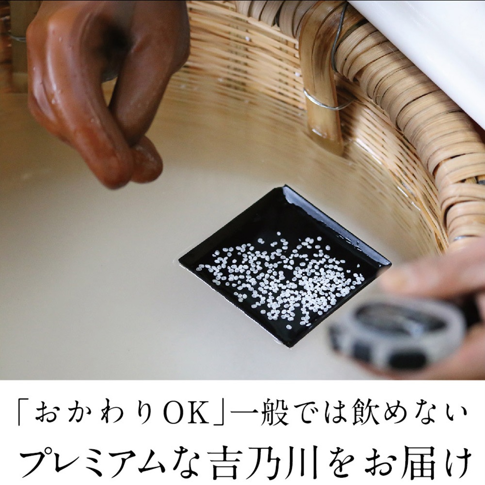 カヨイ おかわり（24BY　純米大吟醸 無濾過原酒＜荒走り×責め＞）5月