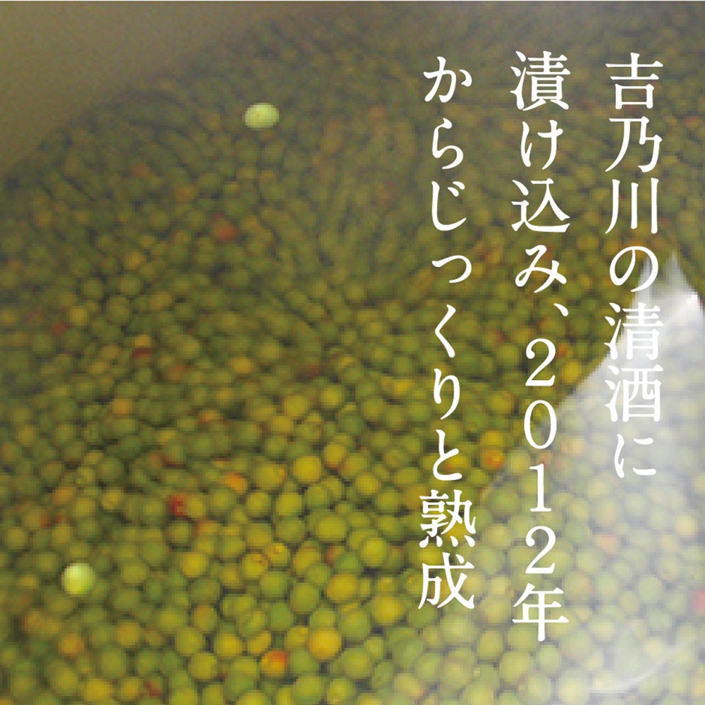 長期熟成 梅酒