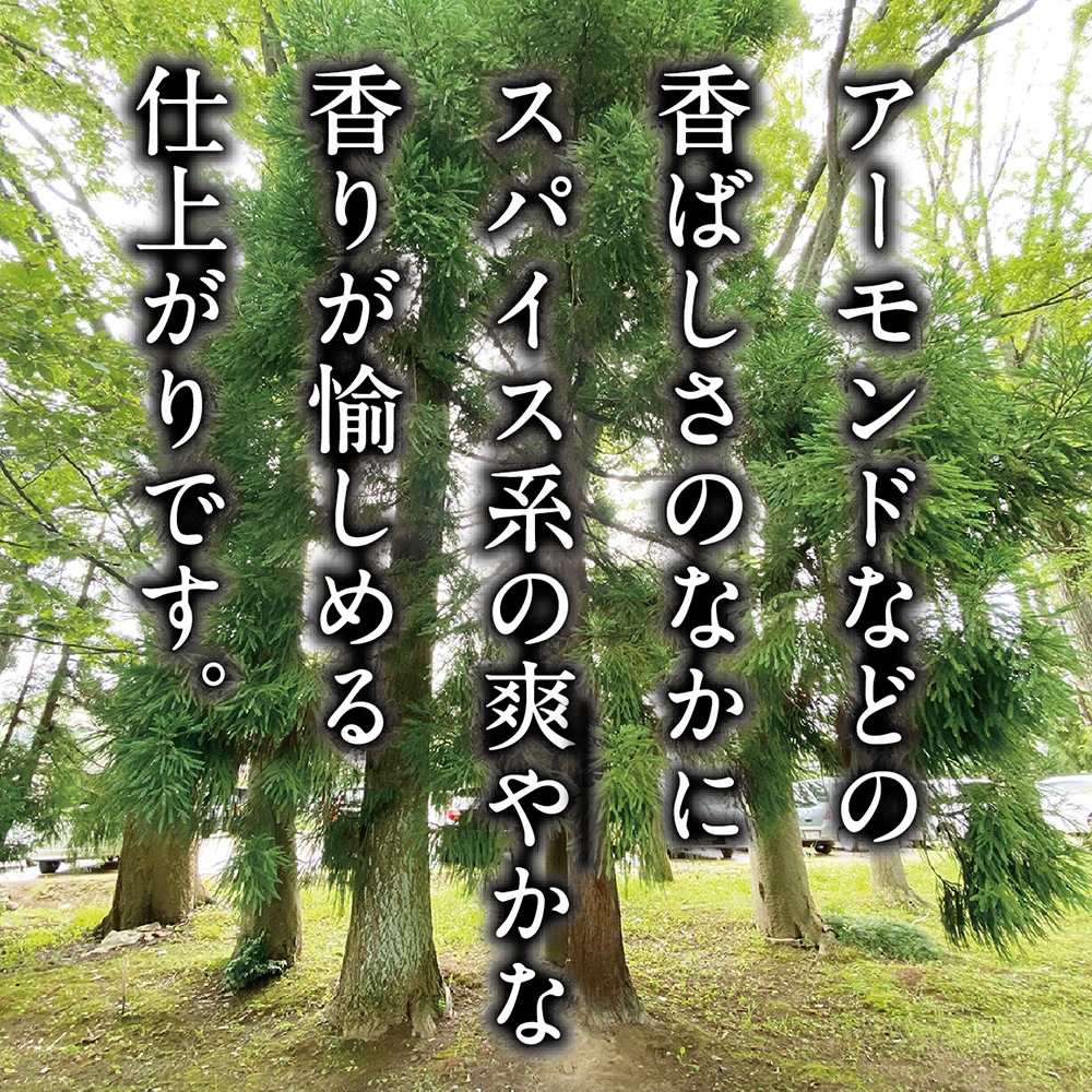 長期熟成古酒 悠久乃杜　2004年