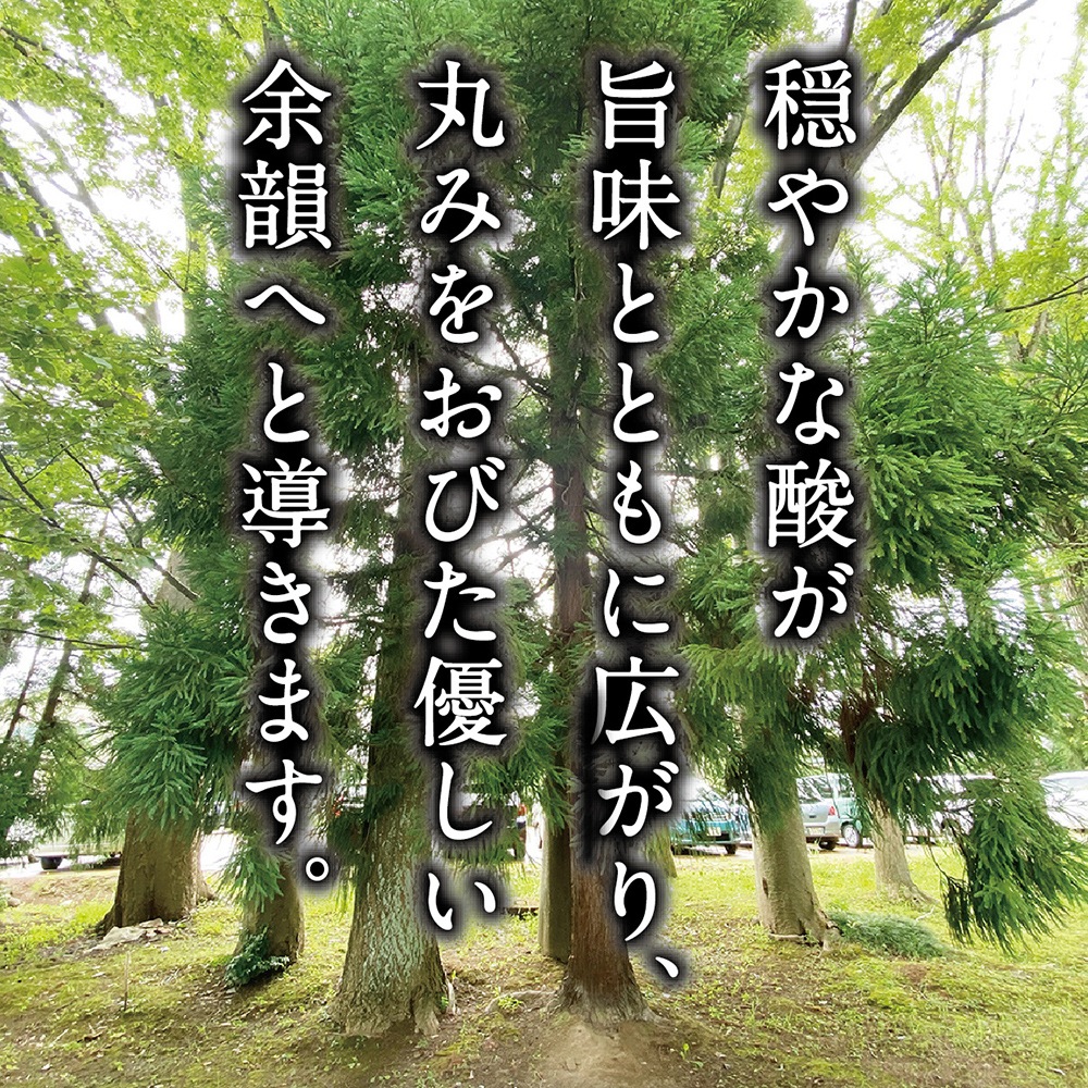 長期熟成古酒 悠久乃杜　2009年