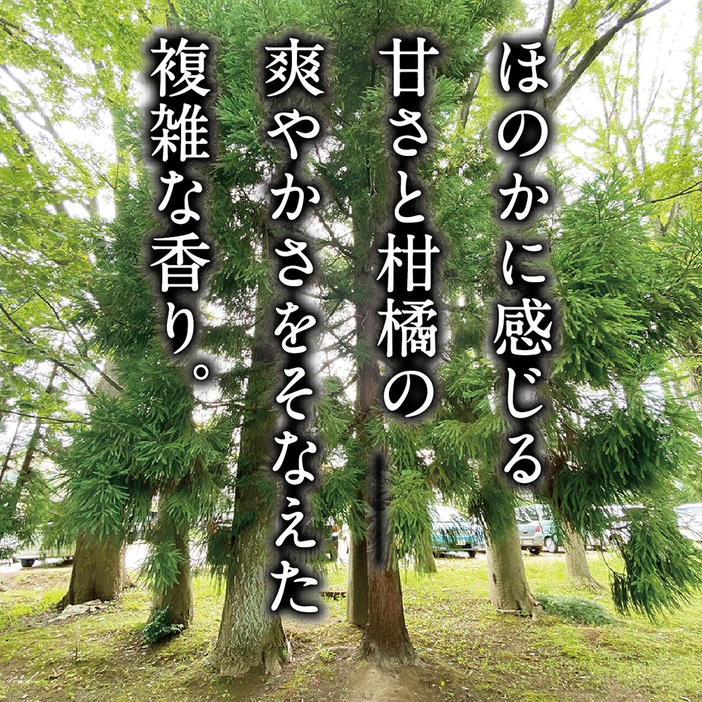 長期熟成古酒 悠久乃杜　2012年