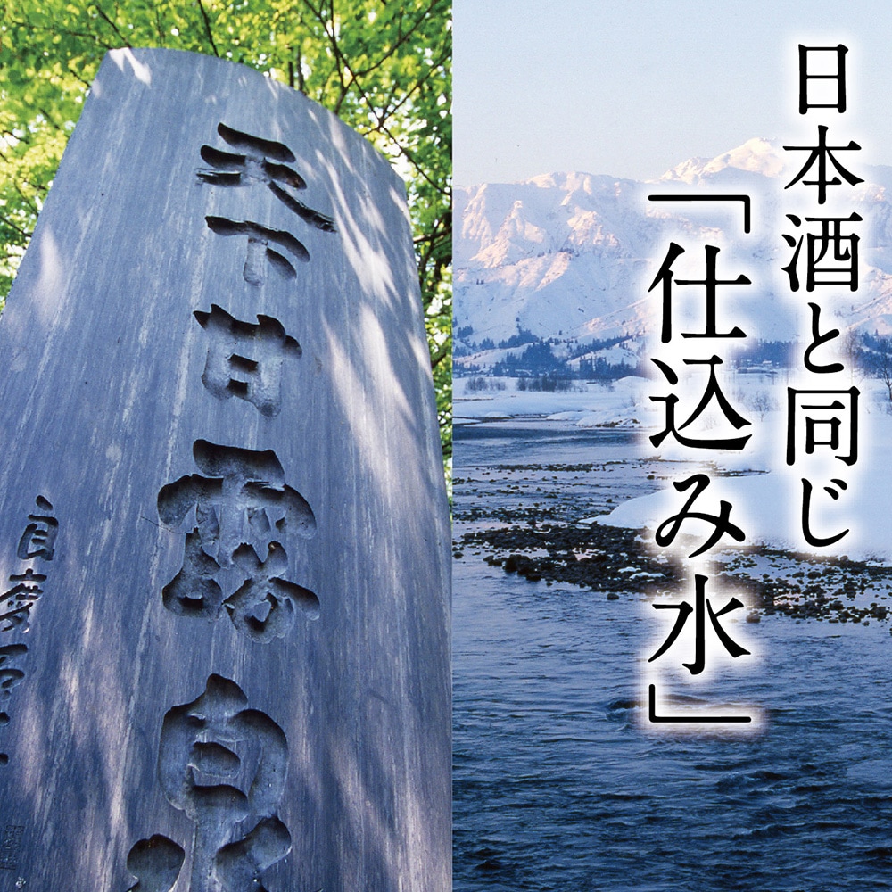 摂田屋クラフト6本入り