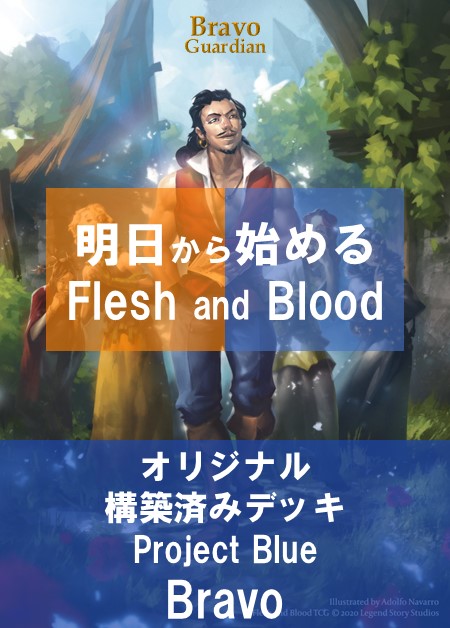 引退品】Flesh and Blood Vynnsetデッキ＆サプライ等々 引退品