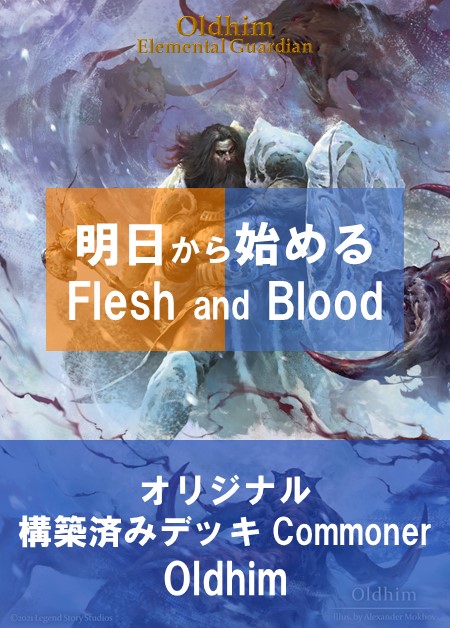 シンドラ　CCデッキパーツ　まとめ売りFlesh and Blood FAB シンドラ CCデッキパーツ まとめ売りFlesh and Blood FAB