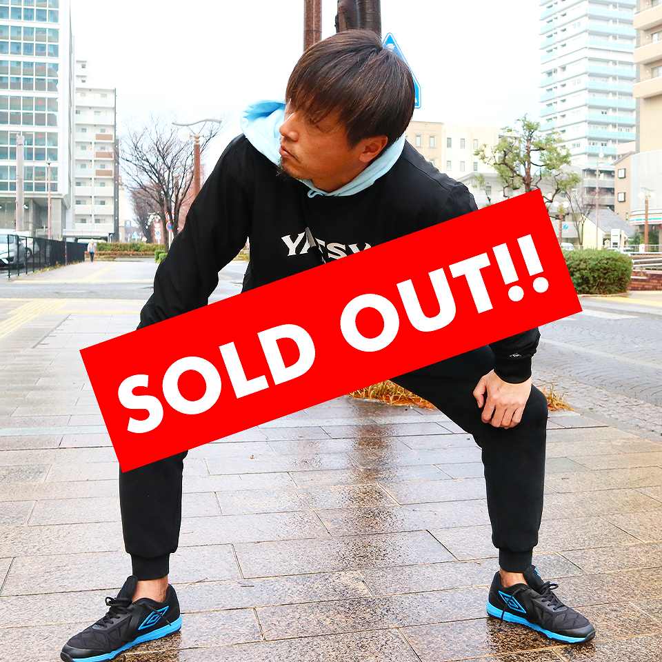 YATSVNピステ