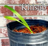 �ǡ��ĥѡ�����[�ʼ�:Khisab]