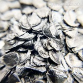 ١ޥ顼 Agave marmorata 