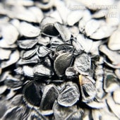 �����١�����٥å��� Agave albescens ���