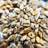 �������ȥ�ꥢ�󡦥ͥ��ƥ��֥����� ���