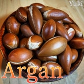 ���륬�� Argania spinosa ���
