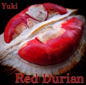 ドリアン・Durio苗 熱帯果樹苗販売・通販ならユーキーズ