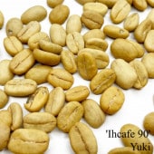 �����ҡ� ��Ihcafe 90�� ���