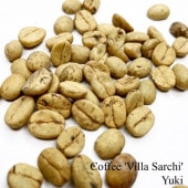 �����ҡ� ��Villa Sarchi�� ���