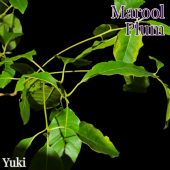 �ޥ����롦�ץ����