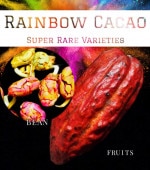  쥤ܡ [ץߥʼ] Rainbow