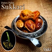 �ǡ��ĥѡ�����[�ʼ�:Sukkari]