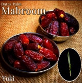 �ǡ��ĥѡ�����[�ʼ�:Mabroom]