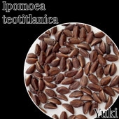 [ͽ]ݥᥢƥƥ˥ ҡλȯ