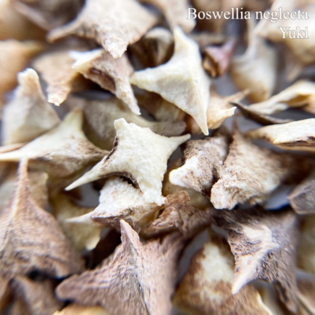 Boswellia(ボスウェリア)