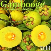 륷˥ܥ [ѡա]Garcinia cambogia