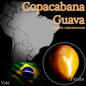 ѥСʡ /桼˥ѥХͥ󥷥/Eugenia copacabanensis/ͽ:λȯ