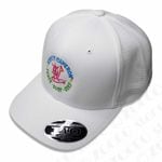 2025 ԡե ޥ顼饦ɥ å奭å - ۥ磻 - åƥ SCOTTY CAMERONڥե˥꡼