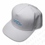 2025  ƥեˡ֥롼SC å - ۥ磻 - åƥ SCOTTY CAMERONڥե˥꡼