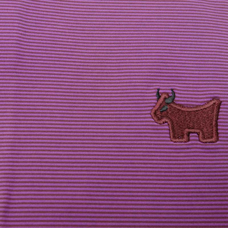 ��S�������Τߺ߸ˤ���ۥ����åƥ��֥�ɥå� ������ ���ȥ饤�� �ݥ������ - �ܥ�ɡ� �����åƥ��������� SCOTTY CAMERON�ڥ���ե���˥������꡼�����