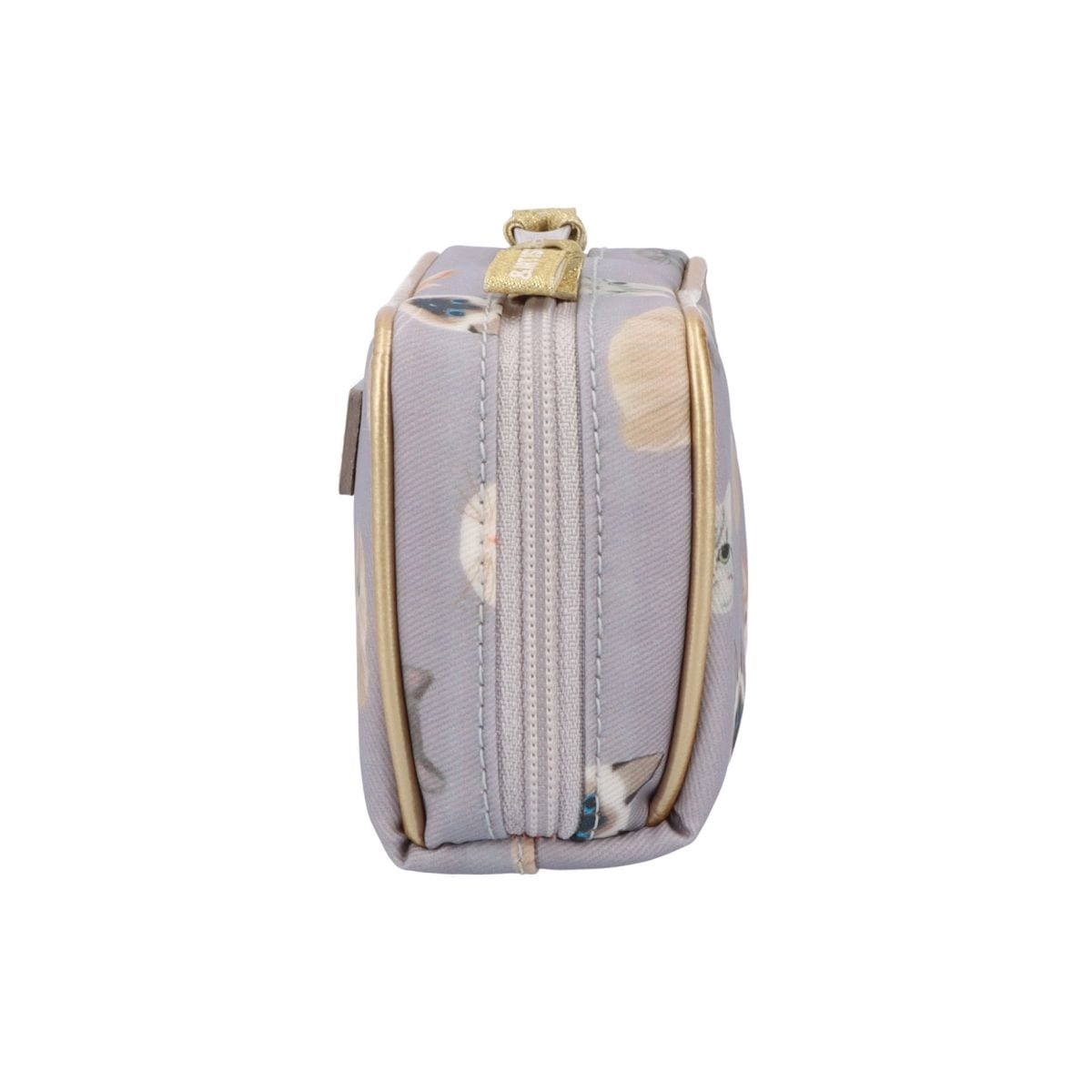 bibiy 美品 Amazon.co.jp: 京商 製 ミニッツ ボディスカイライン GT-R V