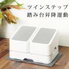 送料無料 訳あり!個数限定 エアロライフツインステップス 踏み台昇降器 ステップ エクササイズ 体幹 運動 ステッパー ダイエット エアロビックスステップ インナーマッスル TV通販で大人気 [7770]