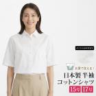 送料無料 訳あり 某ブランド タグカット 白シャツ ドレスシャツ ブラウス 半袖 ショートスリーブ コットン 綿●レディース フォーマル 卒入学式 卒入園式 40代 オフィス 通勤 オフホワイト 大きいサイズ 15号 17号[57246]