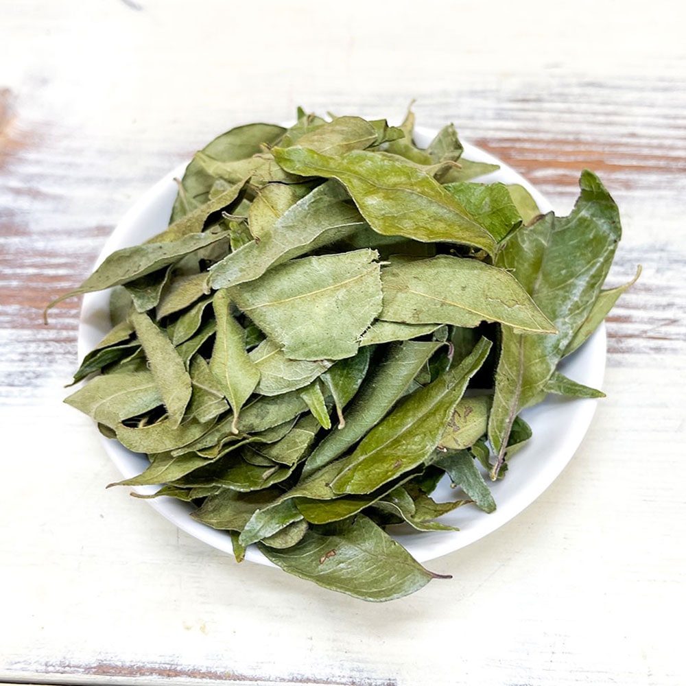 カレーリーフ スリランカ産 全サイズ Curry Leaf 神戸アールティー