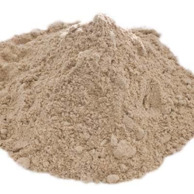 マンゴーパウダー 100g Mango Powder メール便