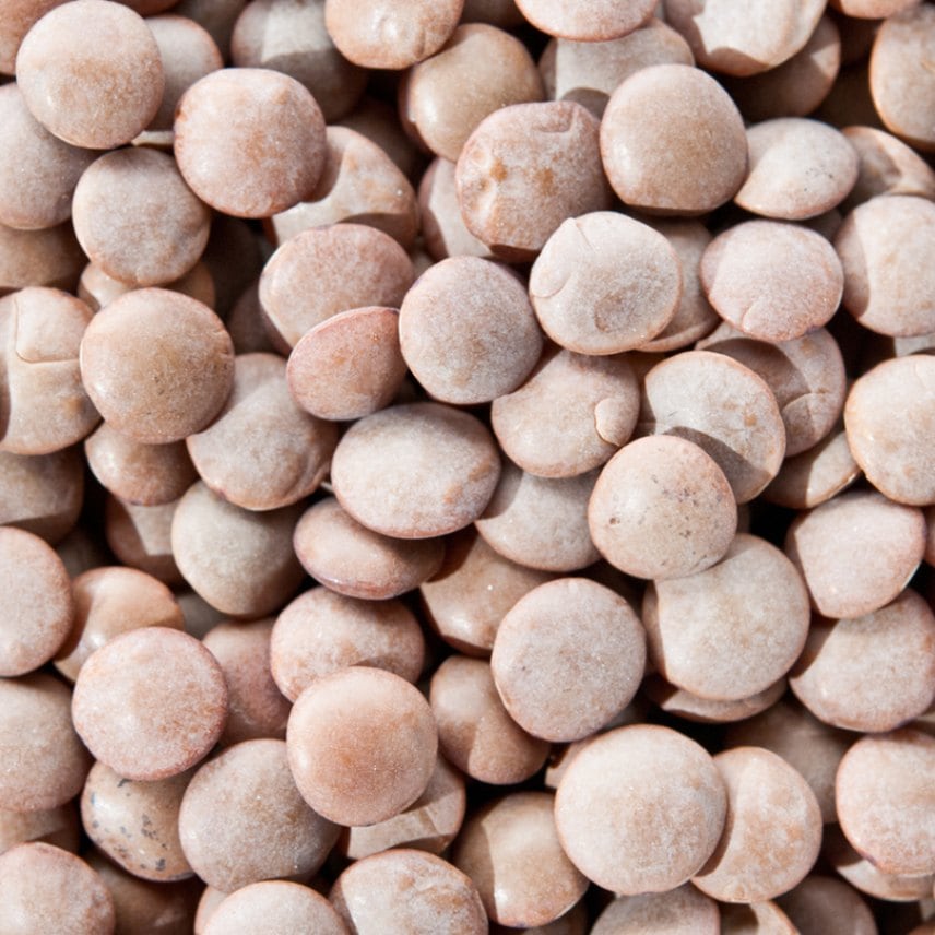 レンズ豆 皮付き 500g  ヒラマメ レンティル マスールダール マッスル ダール Sabut Masoor Masoor Dal Whole