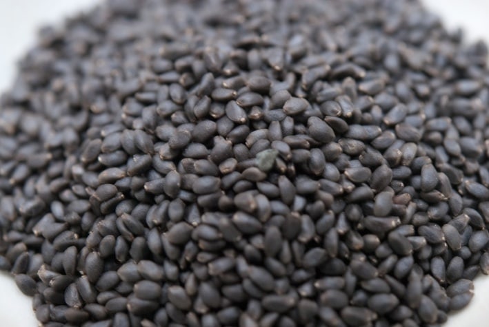 スイートバジルシード 500g Sweet Basil Seed