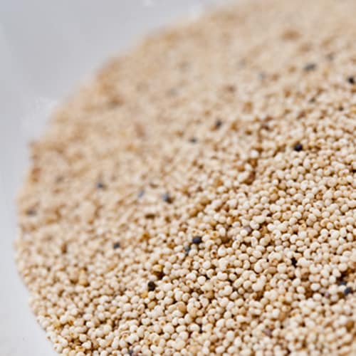 ポピーシード 250g Poppy Seed