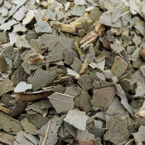 ユーカリプタス 100g Eucalyptus