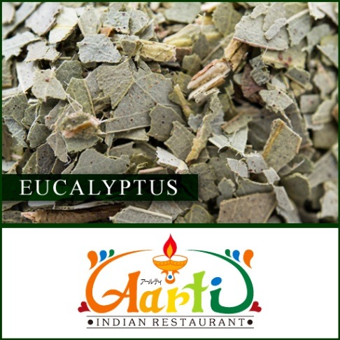 ユーカリプタス 250g Eucalyptus 神戸アールティー 通販 ユーカリユウカリ ドライハーブ ハーブティー Herb 業務用 スパイス 通販 神戸アールティー スパイス ハーブ スパイス ハーブ や ユーカリプタス インドカレーの店神戸アールティー