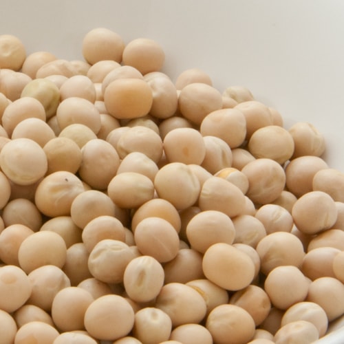 ホワイトピース1kg /1000g 業務用 常温便 白えんどう豆 トラッパーピース 豆 乾物 White Peas