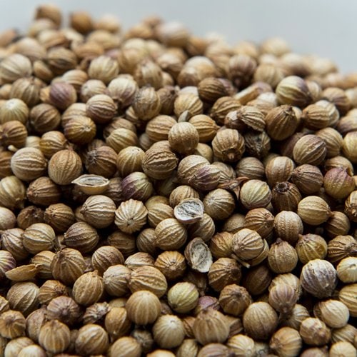 コリアンダーシード ブラウン モロッコ産 1kg / 1000g  Coriander Seed Brown Morocco,業務用,スパイス,通販,神戸アールティー