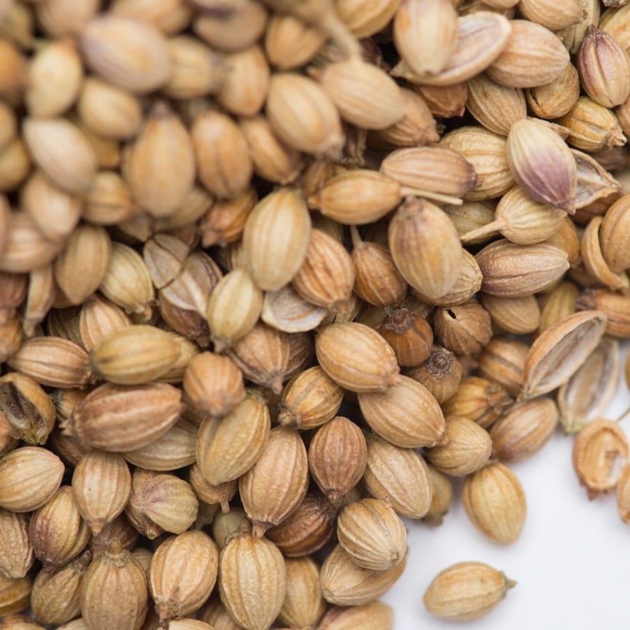コリアンダーシードブラウン インド産 500g Coriander seed 原型