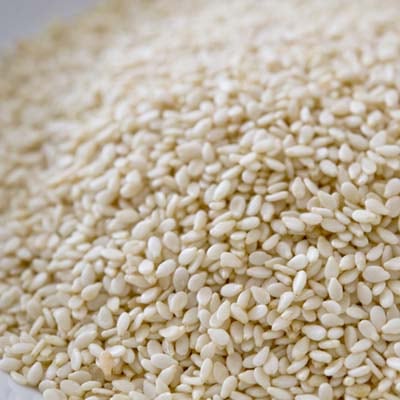 白胡麻 皮むきごま 白 500g White Sesame 白胡麻 白ゴマ Safed Till
