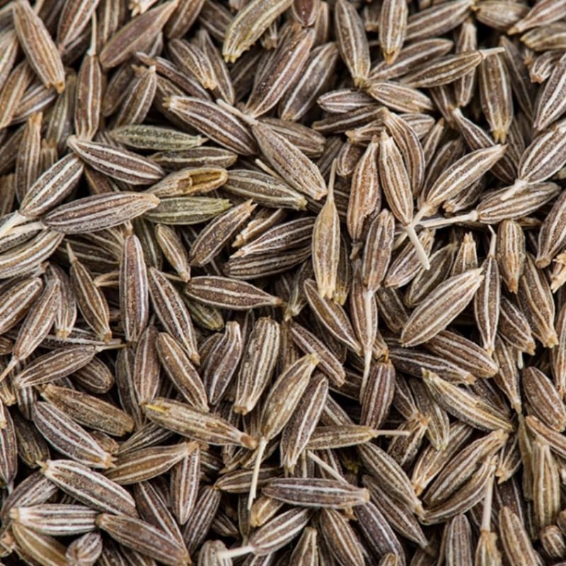 クミンシード Cumin Seed 全サイズ一覧