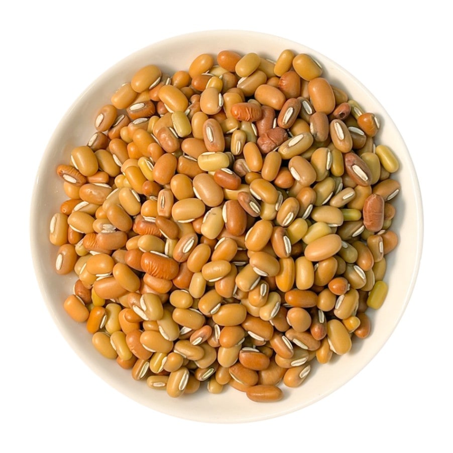 イエローペインビーンズ 500g ,Yellow Pain Bean ,業務用,乾燥豆,神戸アールティー