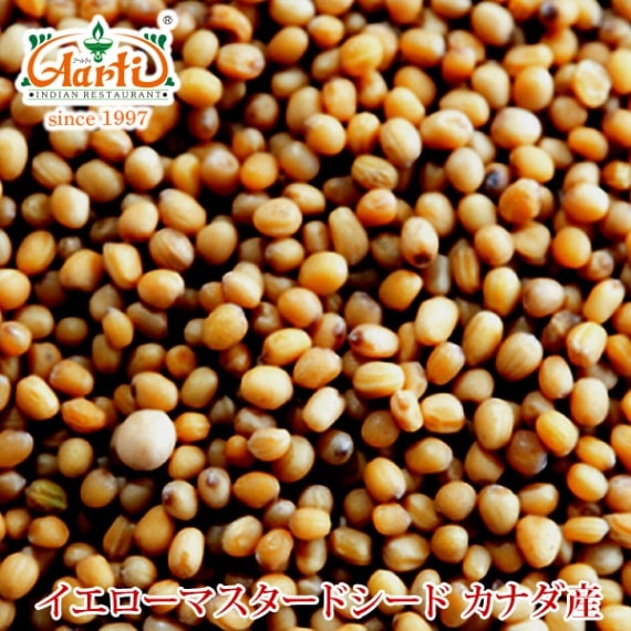 イエローマスタードシード カナダ産 100g ゆうパケット Yellow Mustard Seed 神戸アールティー