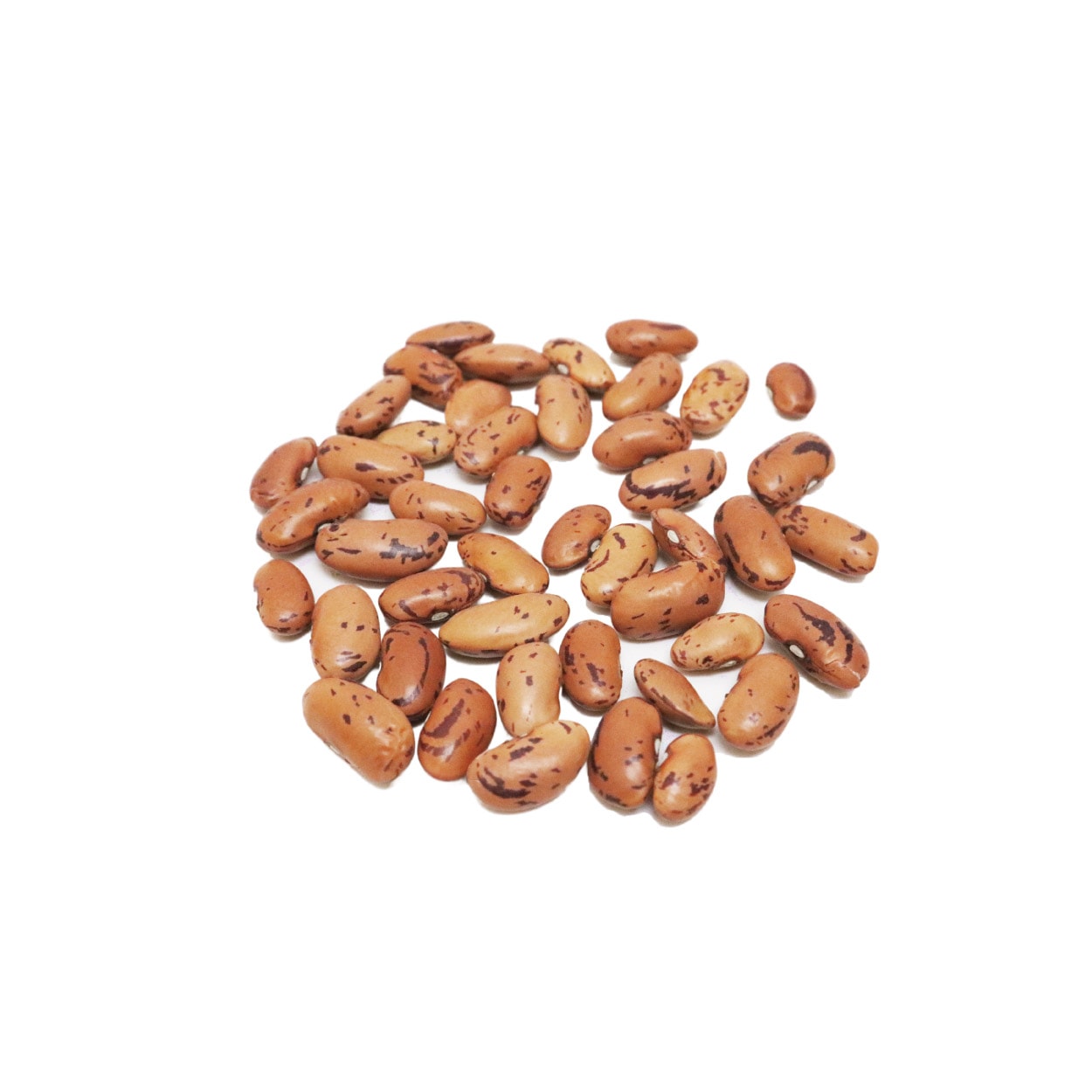 ピントビーン 500g ミャンマー産 Pinto Beans メール便