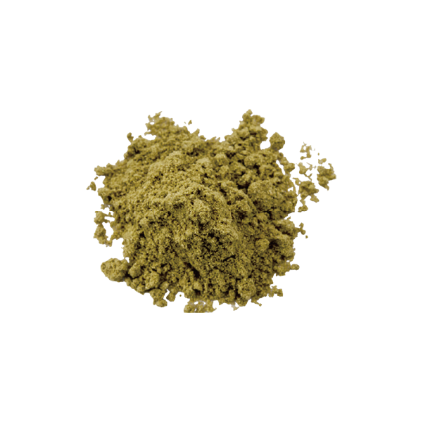 コリアンダーパウダー グリーン 100g Coriandar Powder メール便