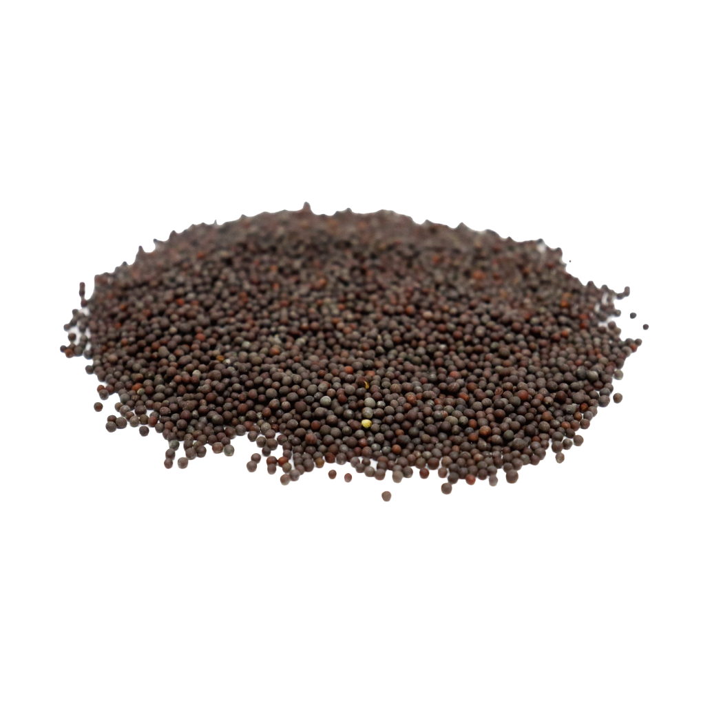 ブラウンマスタードシード 1kg Brown Mustard Seeds