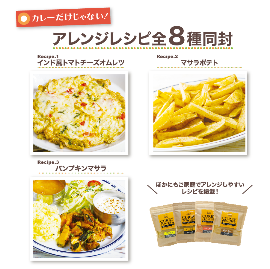ホットカレーパウダー 100g 辛口 小麦粉不使用 Hot Curry Powder メール便送料無料