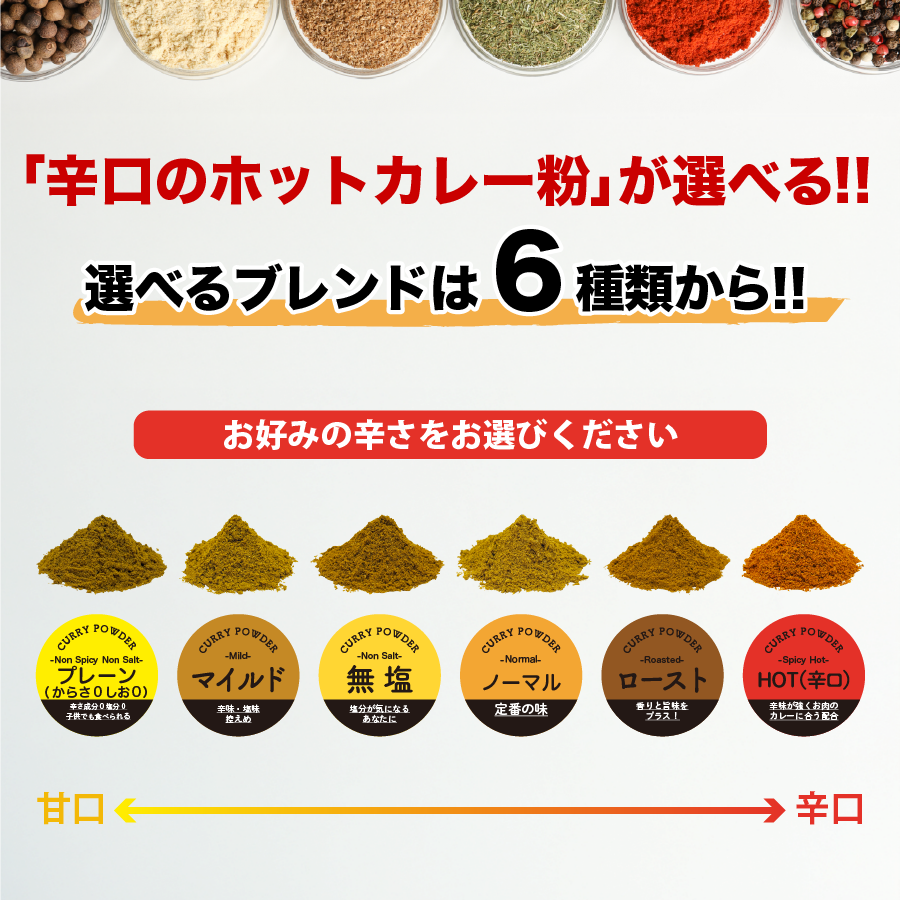 6種類から4つ選べるカレーパウダー100g×4袋 Curry Powder メール便送料無料【即日発送は午前9:30】